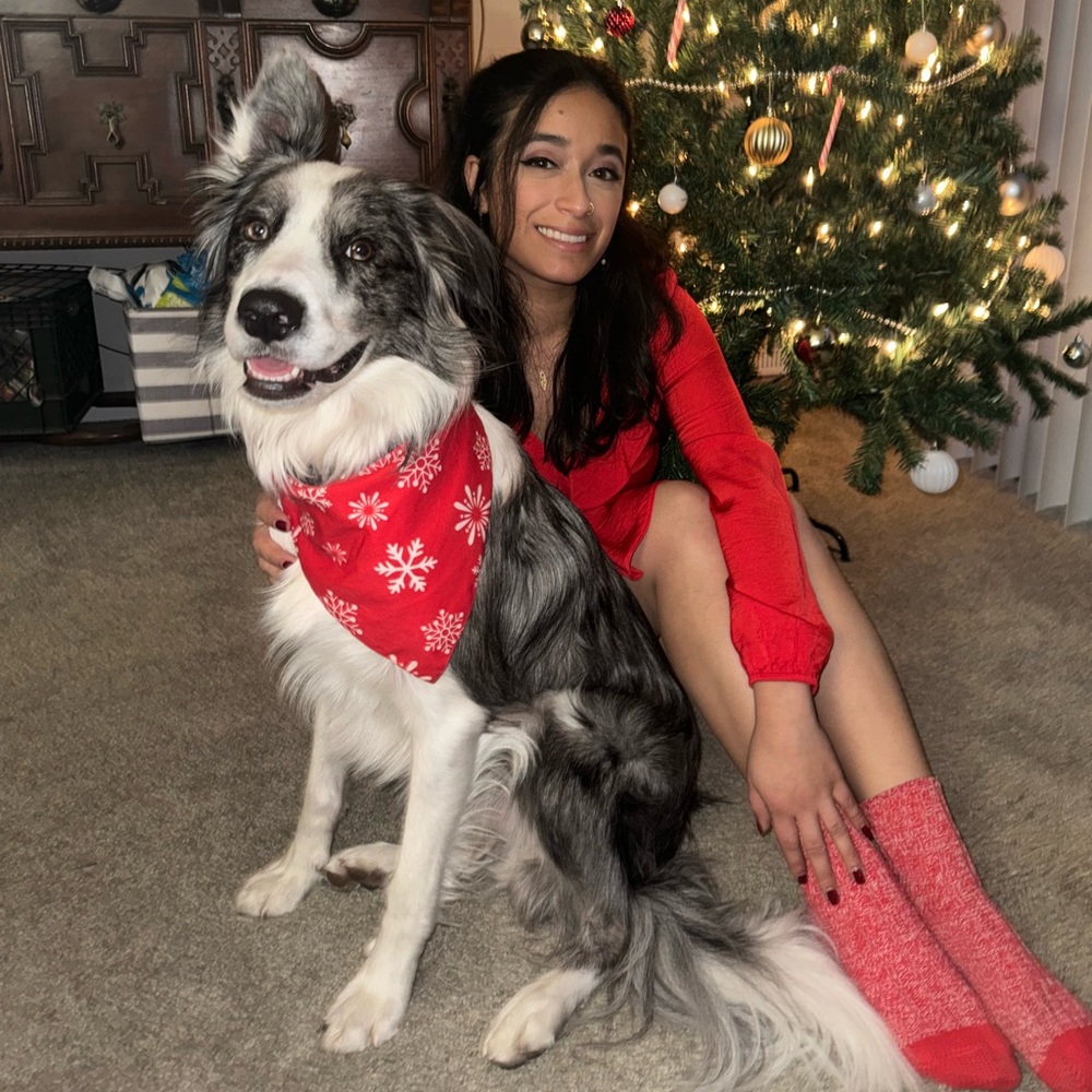 Meet your Posher, Jasmin